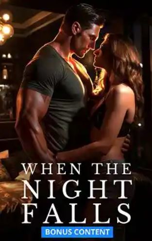 when-the-night-falls-novel