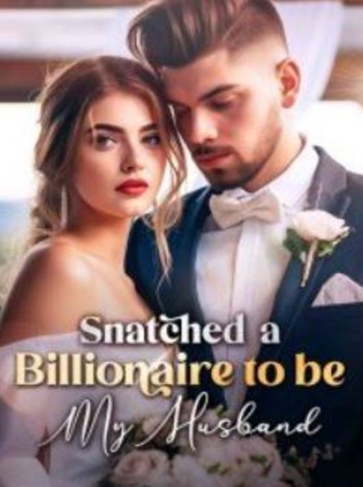 Snatched-a-Billionaire-to-be-My-Husband-Novel-1