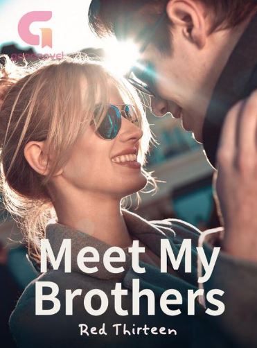 meet-my-brothers-novel